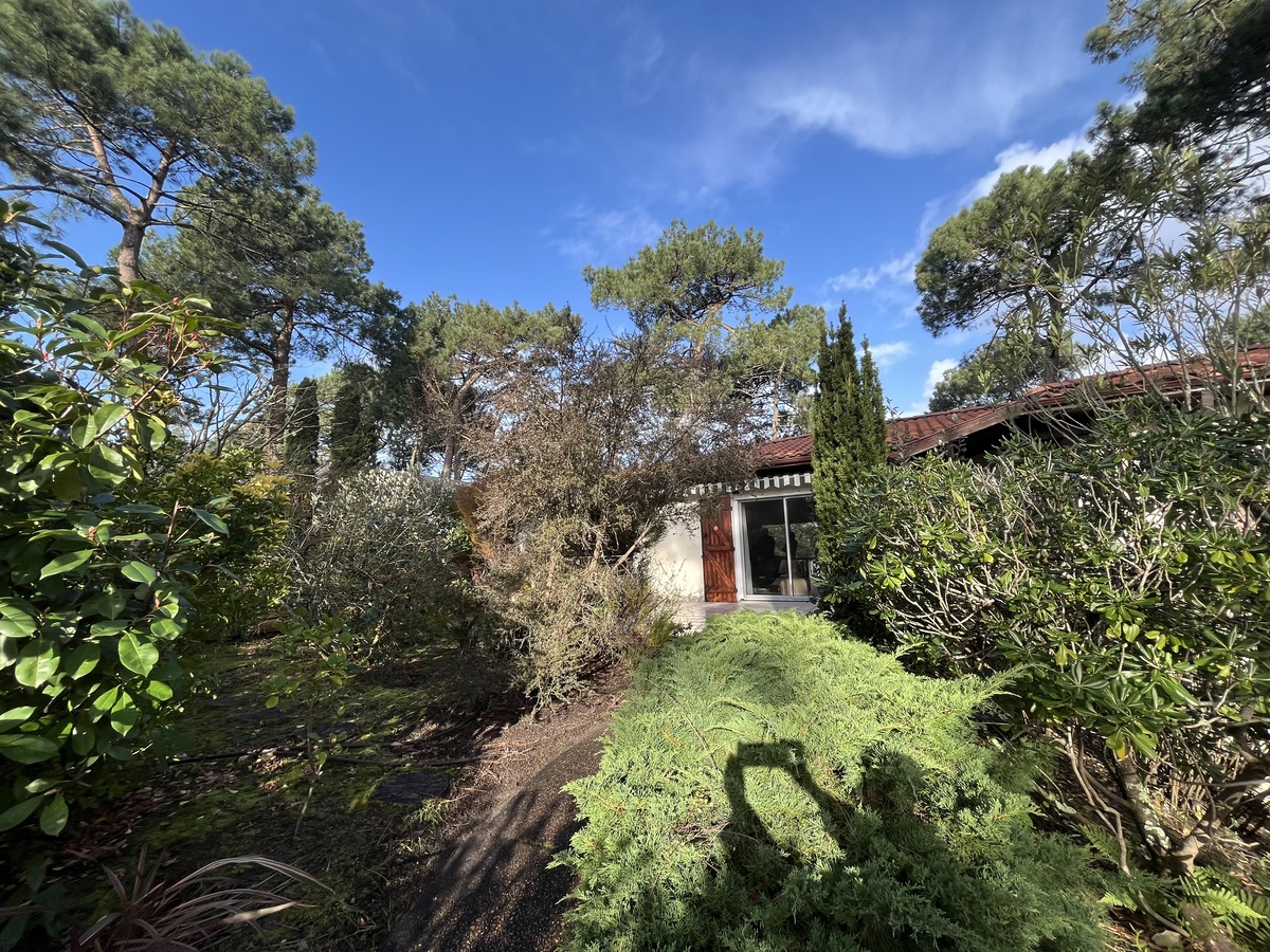 Maison - Pyla sur Mer