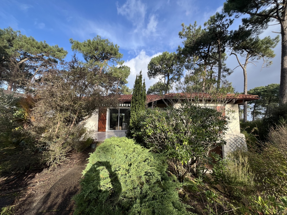 Maison - Pyla sur Mer